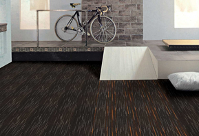 �칫����̺���÷����̺ ZSFP15