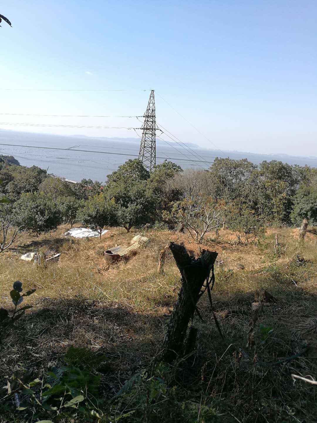 hjc黄金城地毯