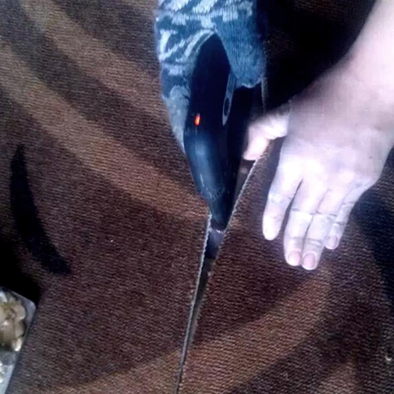 电熨斗粘合